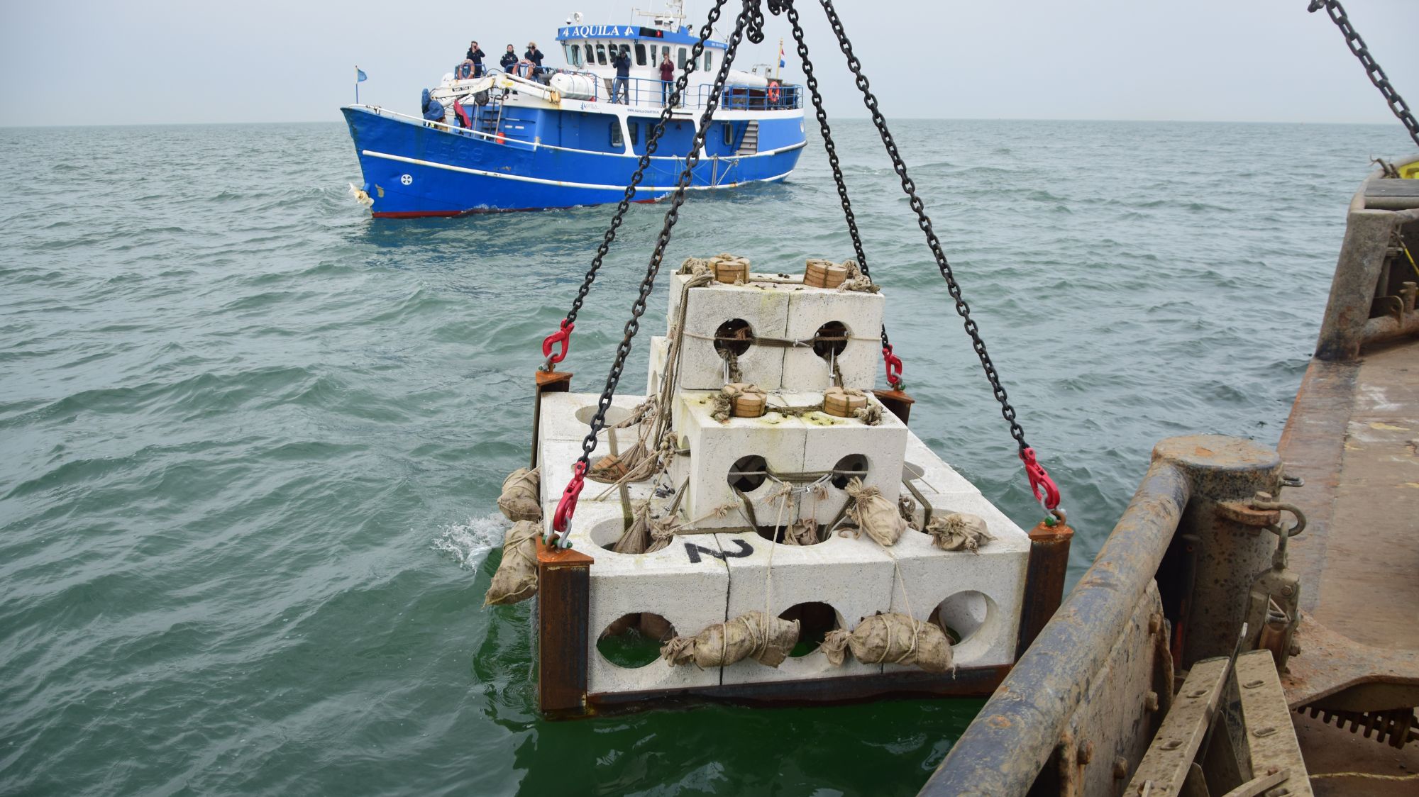 reef cubes being placed in the sea