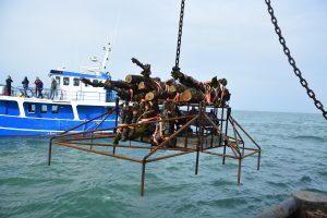 Tree reef being lifted above sea surface with blue vessel in the back