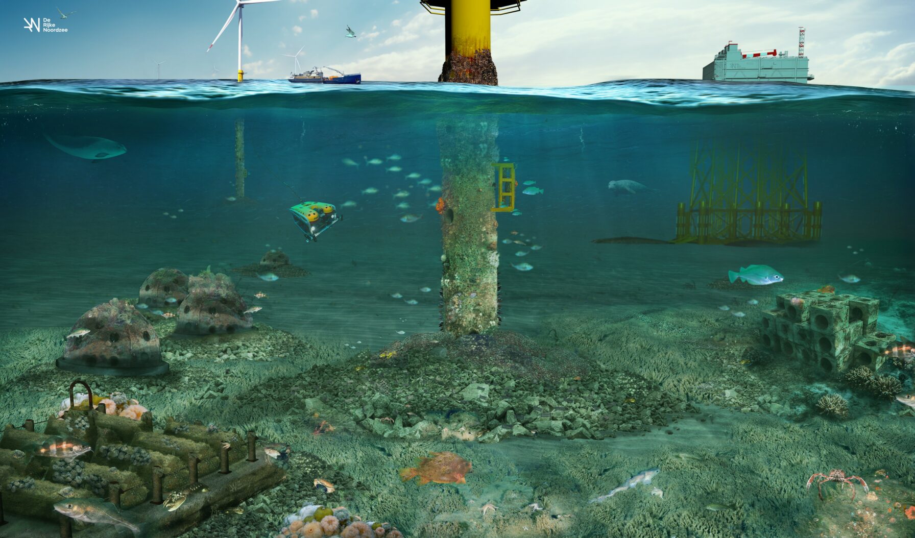 Visual of underwater landscape around a wind turbine