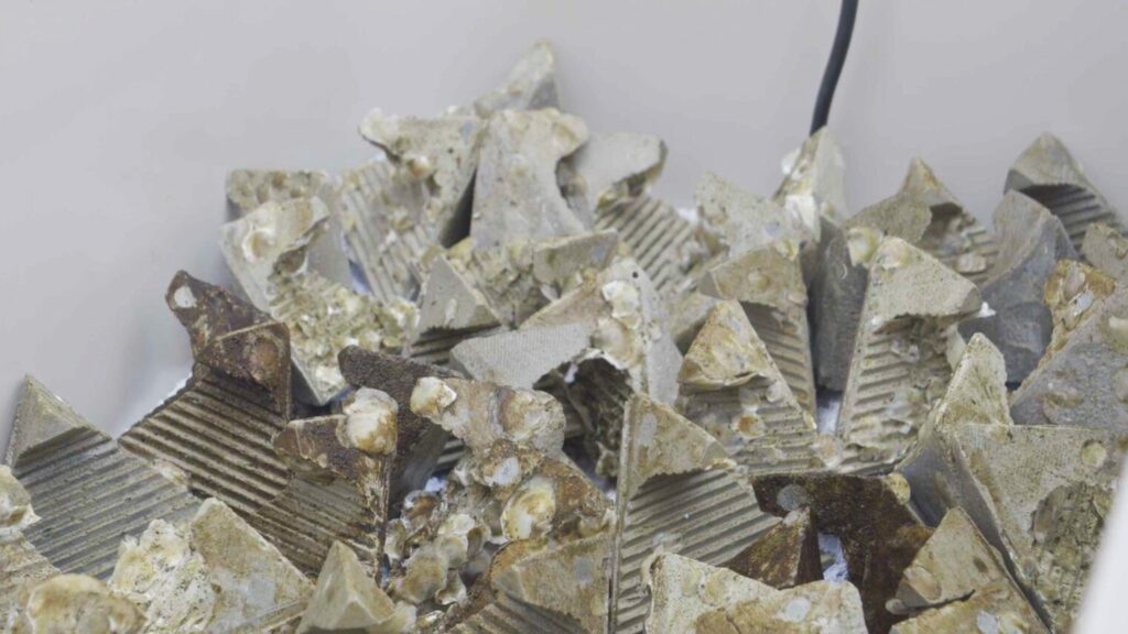 image of biodegradable ReefBooster product