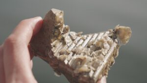 image of small artificial reef product with baby oysters