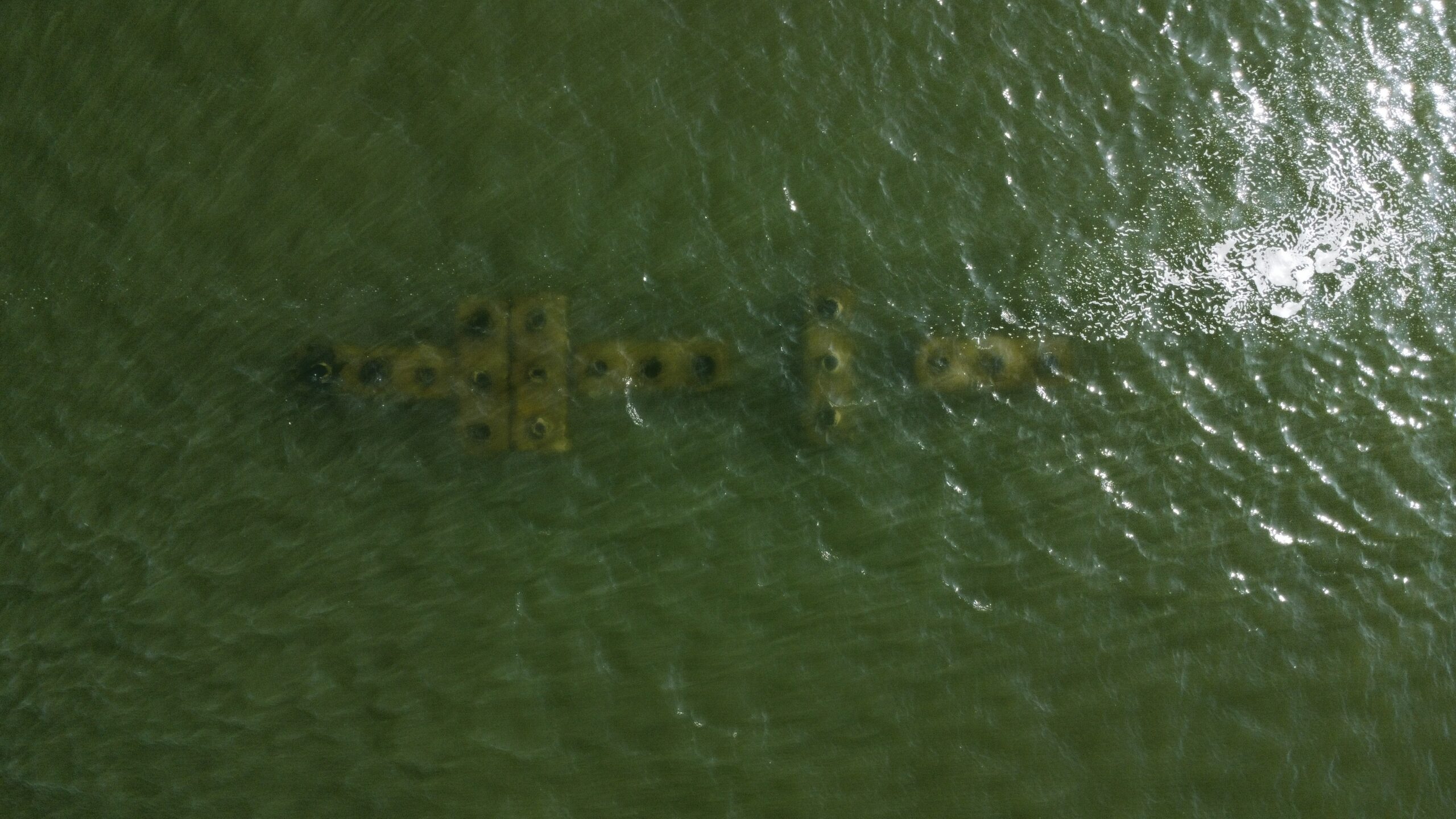 video about the installation of the rotterdam reef in the tidal area of the river Meuse 